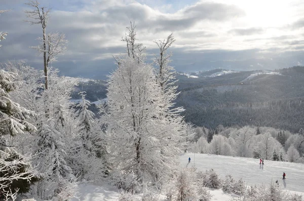 Muhteşem Kış Dağ Arka Plan Kar Köknar Ağaçlarıyla — Stok fotoğraf