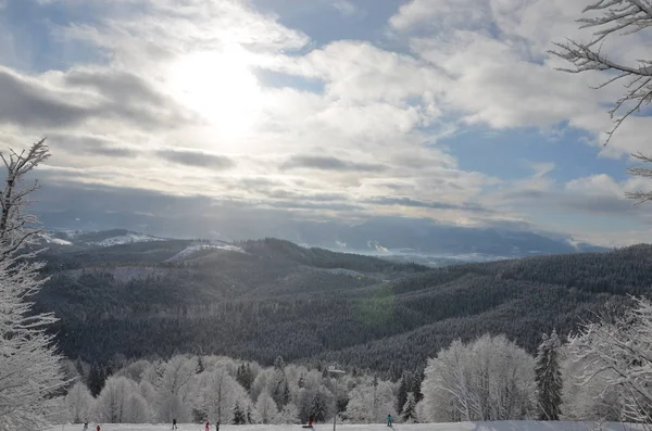 Kış Manzarası Arka Plan Gökyüzü Dağ Çam Ormanıyla Kaplı — Stok fotoğraf