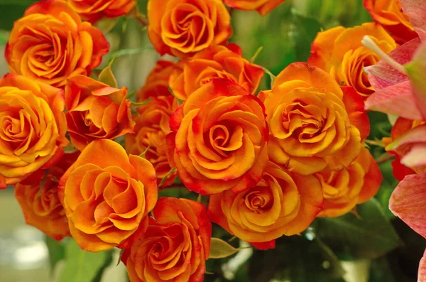 Buquê Flores Arranjo Flores Fundo Floral — Fotografia de Stock
