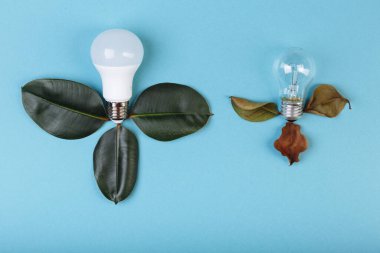 Eko-enerji tasarruflu LED lamba kavramı parlak bir lamba üzerinde avantajlar. İki lamba taze ve öldü. Elektrik ve para tasarrufu yüzünden..