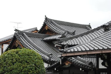 Japonya, Kyoto 'daki Fushimi Inari Parkı' nın çatıları.