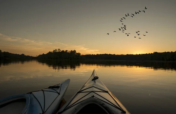 Kayaks au coucher du soleil avec des oies volantes — Photo