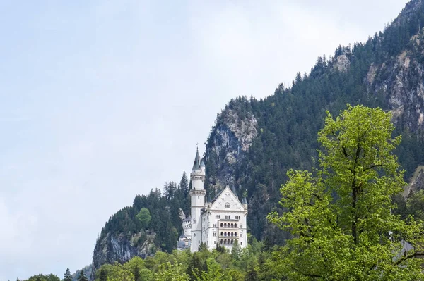 Castelo na floresta de montanha — Fotografia de Stock