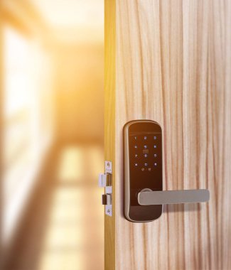 Akıllı dijital kapı kilidi güvenlik