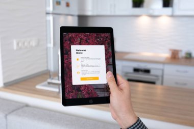 El tutma ipad app Home Pro alanı gri adam