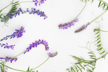 Beyaz arkaplanda Barok çiçek tomarları