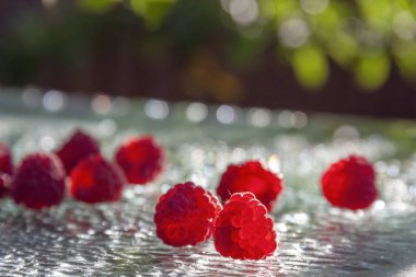 Güneşten şeffaf ahududu bulanık bir arka plan olarak