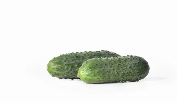 Couple of fresh cucumbers close-up on white background — Stock Photo, Image