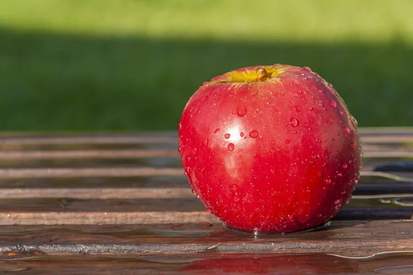 Pomme rouge sur fond de nature — Photo