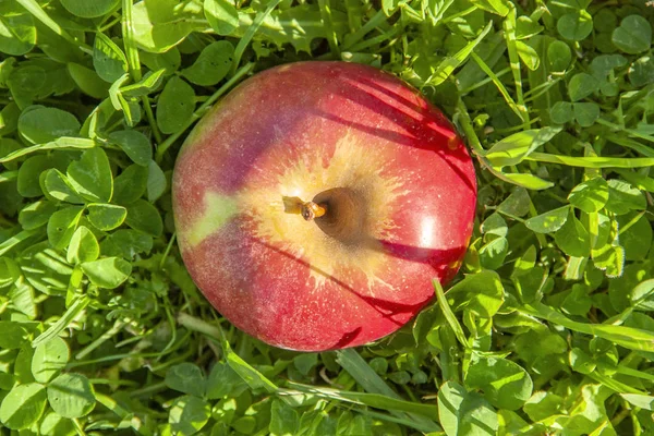 Red apple lying on green grass background — 图库照片