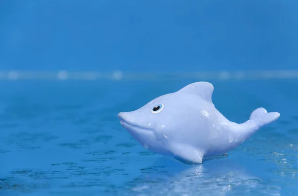 Modrá hračka delfín na mořském pozadí — Stock fotografie