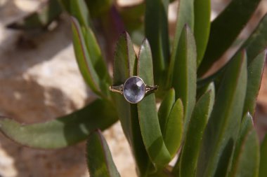 A ring with a large alexandrite stone was put on the leaves of the plant clipart