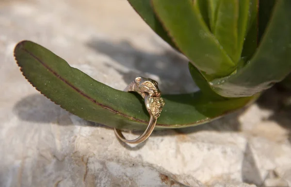 Золотое кольцо нанизано на растение в форме пальца — стоковое фото