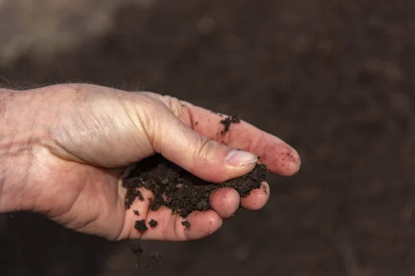 Fresh fertile soil in men's palms close-up — Stock Photo, Image