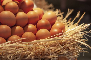 Koyu arkaplanda saman yuvasında yumurtalar