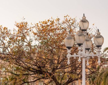 Beyaz sokak lambası sarı yapraklı bir ağacın arka planında