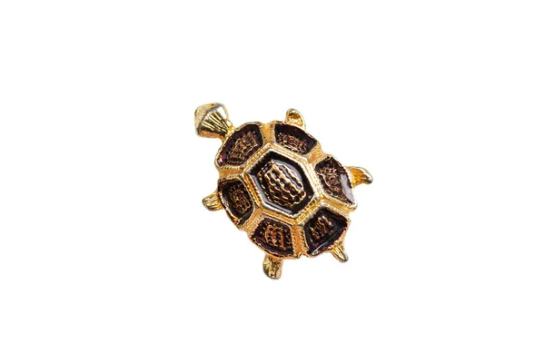 Golden turtle isolated — Stock Photo, Image