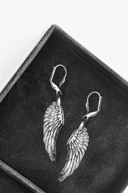 bir kutu içinde küpe