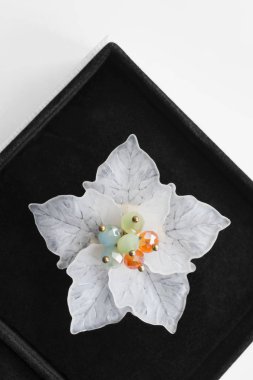 Bir kutu içinde broş