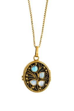 Vintage madalyon izole