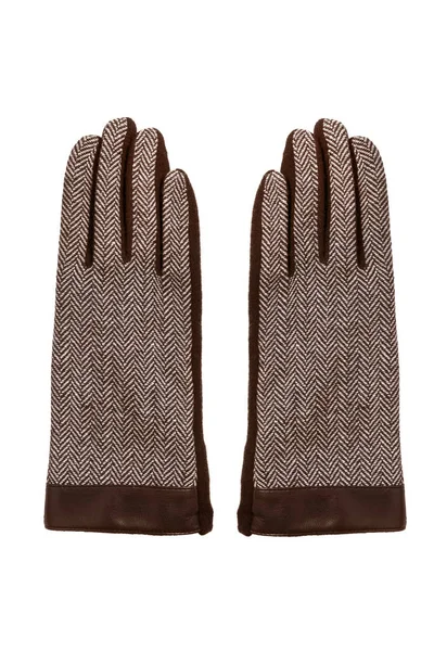 Elegant gloves isolated — Stock Photo, Image