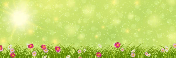 Szablon Wektora Wiosennego Zielone Niewyraźne Tło Kwiatami Efektem Bokeh — Wektor stockowy