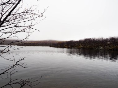 Göl ve güzel çam ormanı.