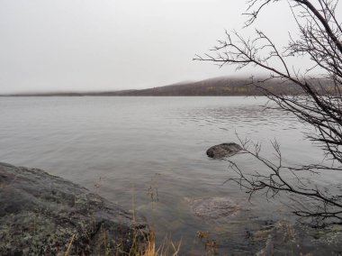 Göl ve güzel çam ormanı.