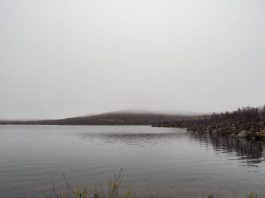 Göl ve güzel çam ormanı.
