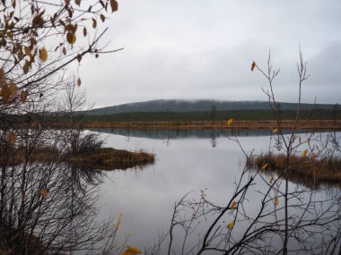 Göl ve güzel çam ormanı.