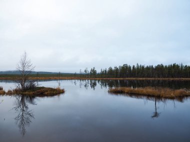 Göl ve güzel çam ormanı.