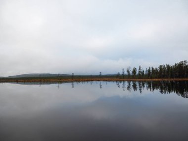 Göl ve güzel çam ormanı.