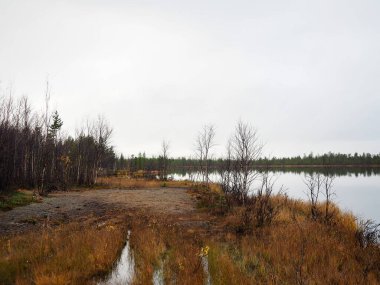 Göl ve güzel çam ormanı.