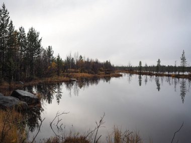 Göl ve güzel çam ormanı.