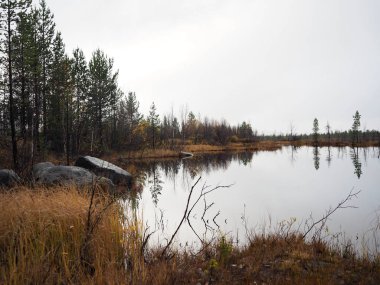 Göl ve güzel çam ormanı.
