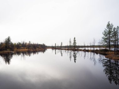 Göl ve güzel çam ormanı.