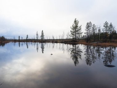 Göl ve güzel çam ormanı.