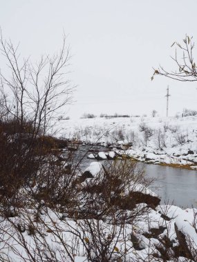 Tundra Ormanı Güzel kar altında
