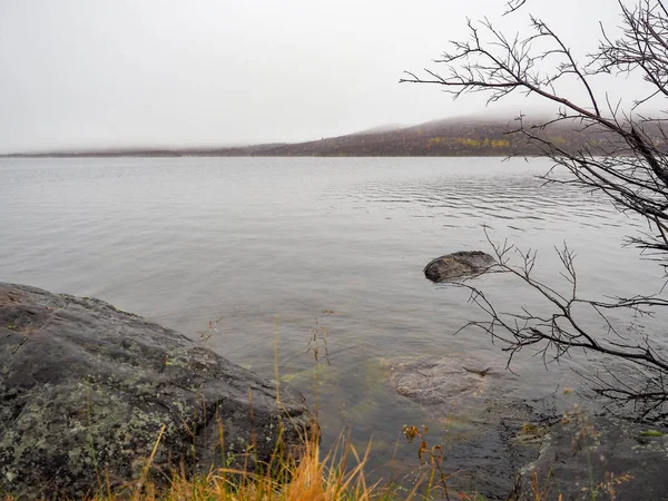 Le lac et la belle pinède — Photo