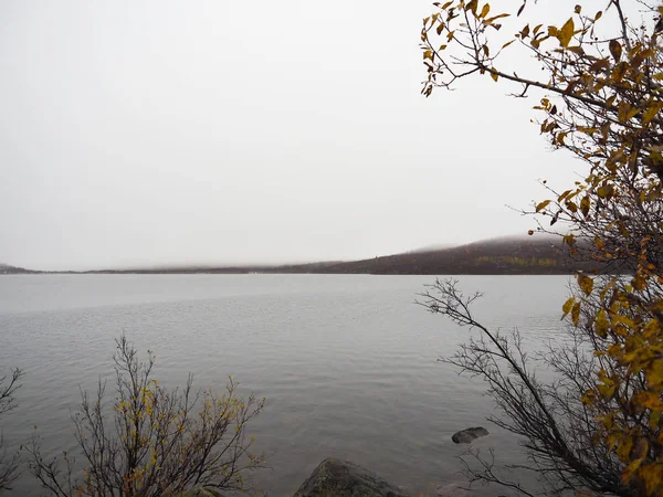 El lago y el hermoso bosque de pinos — Foto de Stock