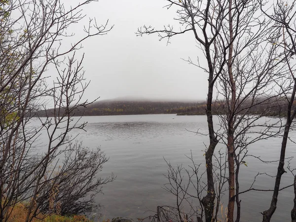 O lago e a bela floresta de pinheiro — Fotografia de Stock