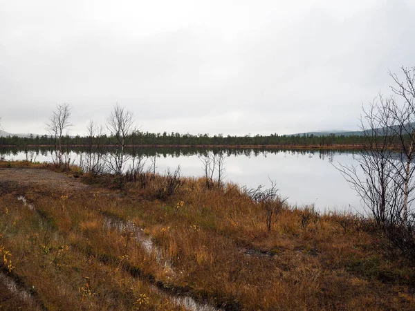 El lago y el hermoso bosque de pinos — Foto de Stock