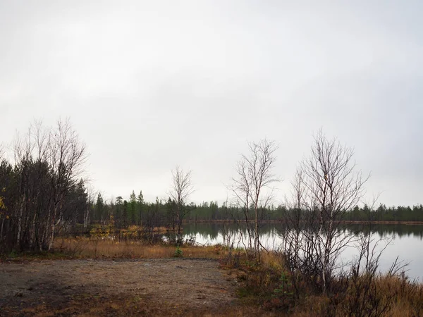 El lago y el hermoso bosque de pinos — Foto de Stock