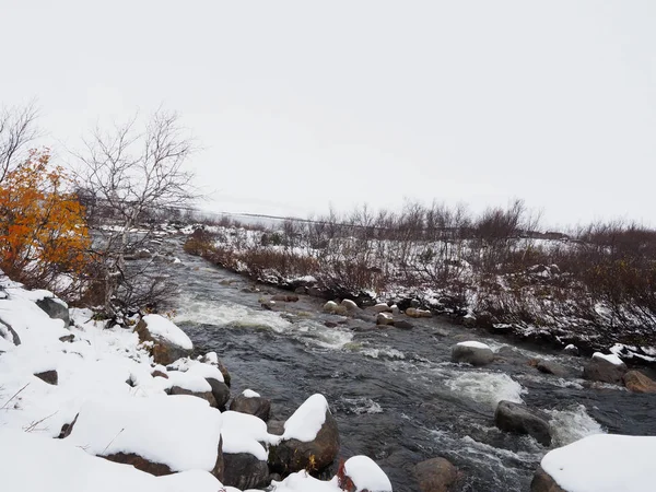 Tundra bosque en la nieve hermosa — Foto de Stock