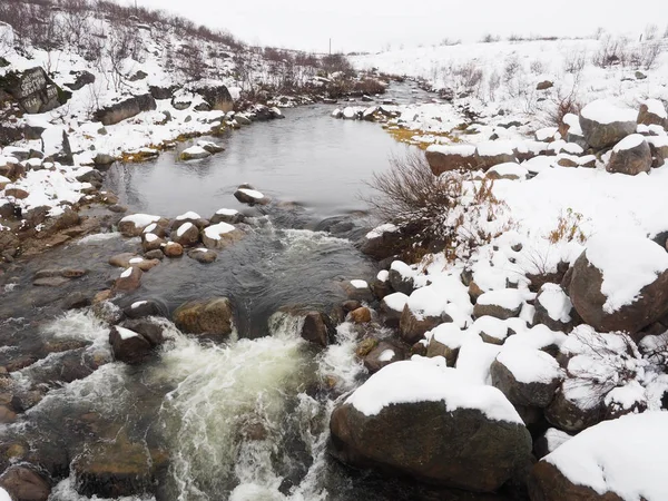 Tundra bosque en la nieve hermosa — Foto de Stock