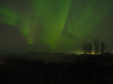 Gökyüzünde güzel kuzey ışıkları