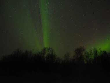 Gökyüzünde güzel kuzey ışıkları
