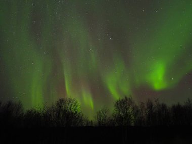 Gökyüzünde güzel kuzey ışıkları