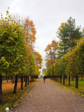 Güzel kış bahçesi Yapraklar renk değiştiriyor