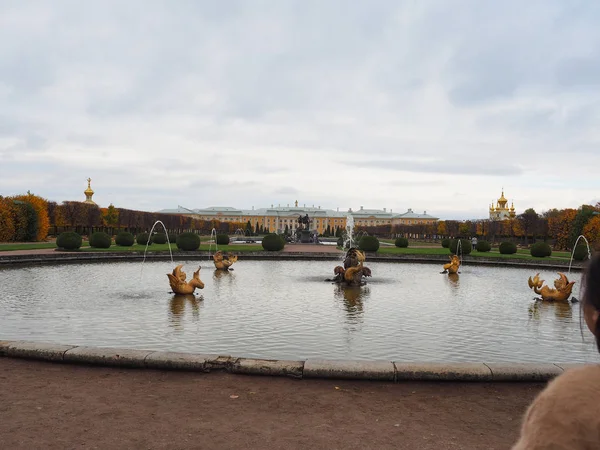 ปีเตอร์ฮอฟ เซนต์ปีเตอร์สเบิร์ก สวนสาธารณะที่สวยงามของรัสเซียเป็นประชาสัมพันธ์ — ภาพถ่ายสต็อก